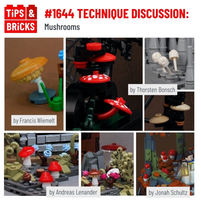 TECHNIQUE DISCUSSION: Mushrooms