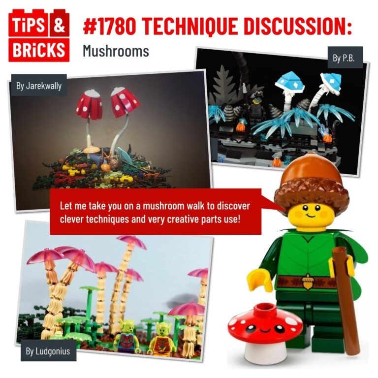 TECHNIQUE DISCUSSION: Mushrooms