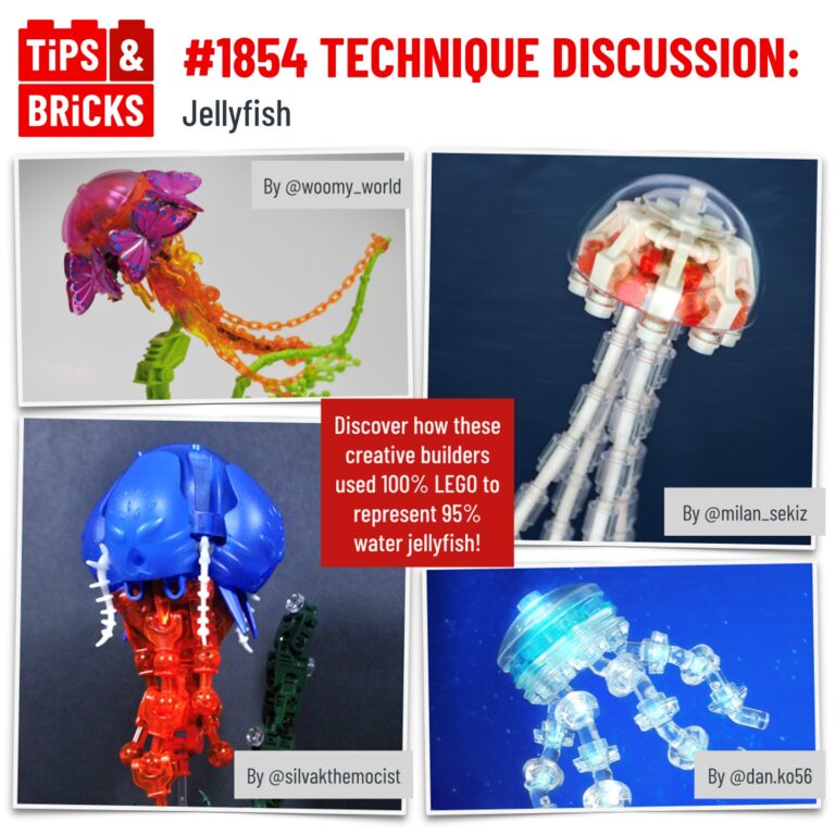 TECHNIQUE DISCUSSION: Jellyfish