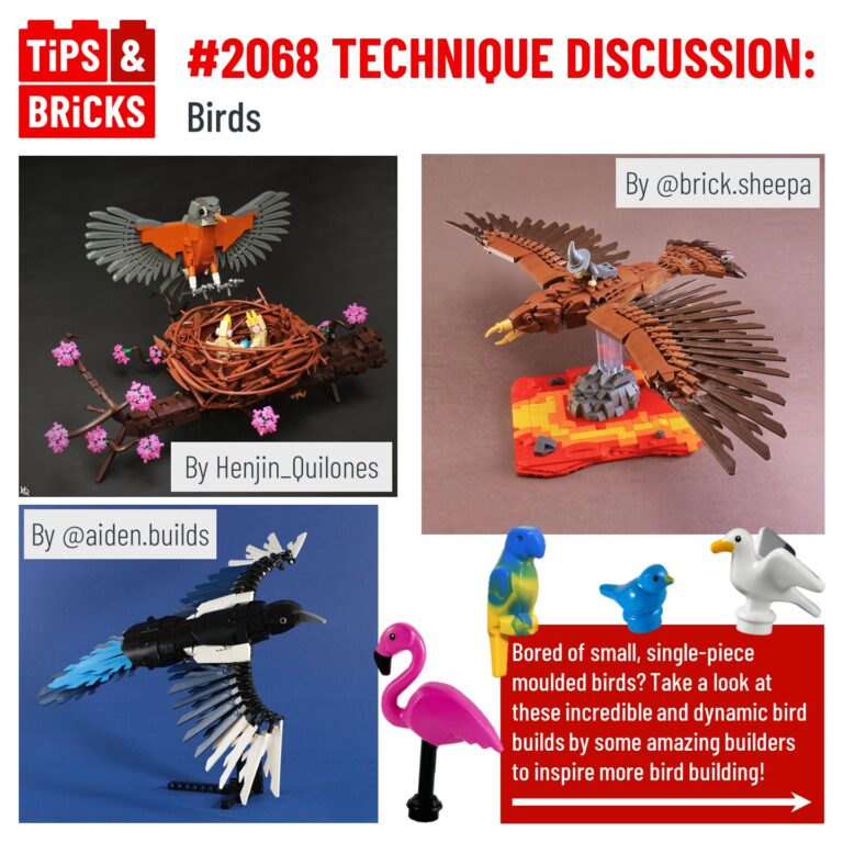 TECHNIQUE DISCUSSION: Birds