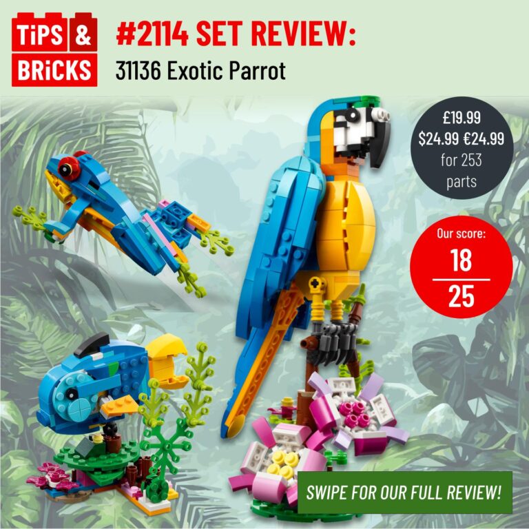 SET REVIEW: 31136 Exotic Parrot