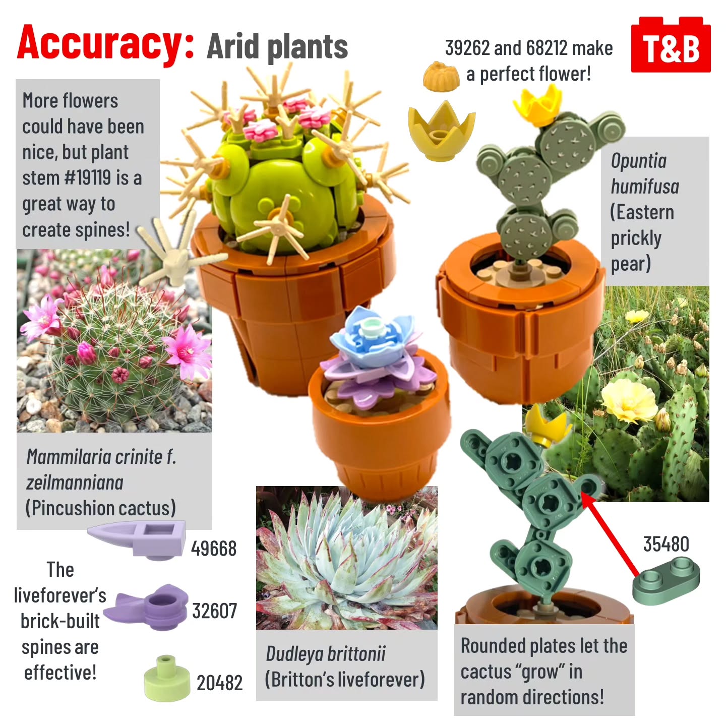 2194 SET REVIEW: 10329 Tiny Plants - Tips&Bricks