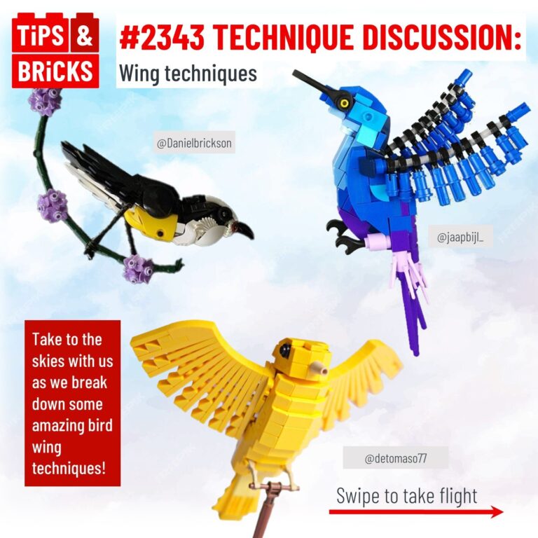 TECHNIQUE DISCUSSION: Wing techniques