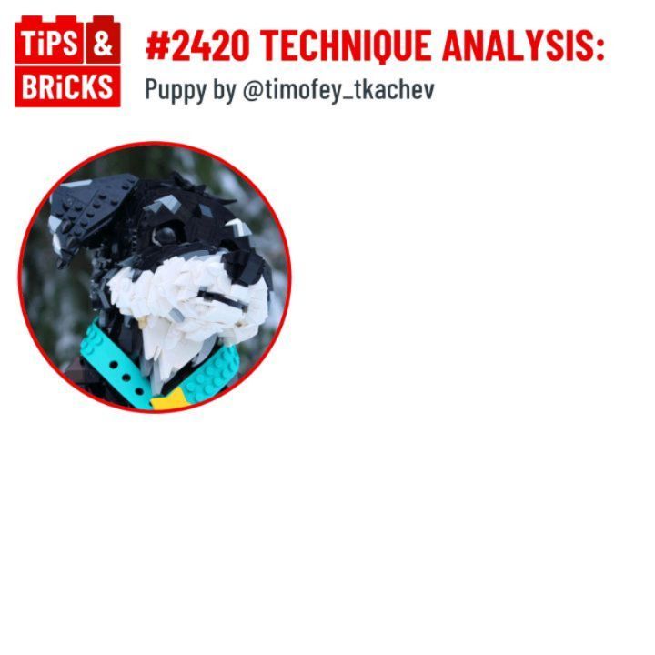 TECHNIQUE ANALYSIS: Puppy by @timofey_tkachev