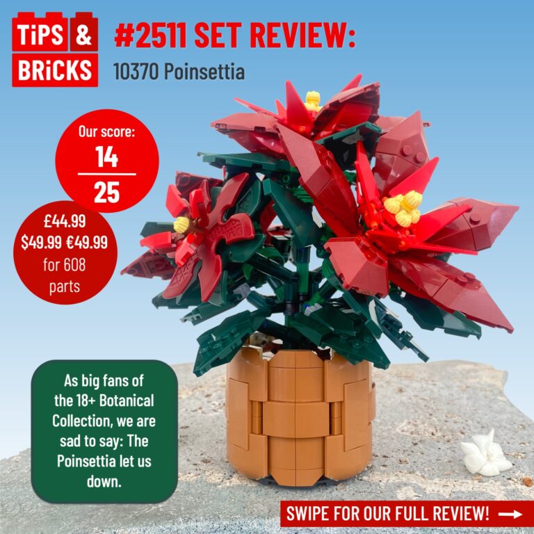 SET REVIEW: 10370 Poinsettia