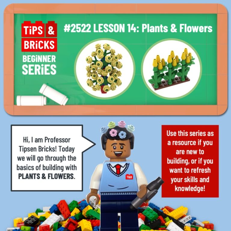 BEGINNER SERIES: Lesson 14 – Plants and Flowers