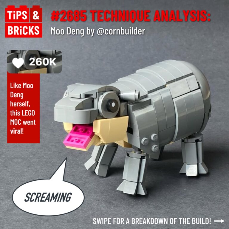TECHNIQUE ANALYSIS: Moo Deng by @cornbuilder