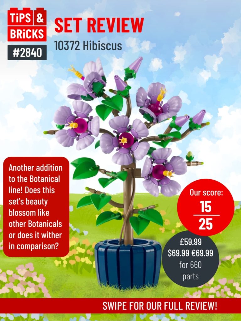 SET REVIEW: 10372 Hibiscus