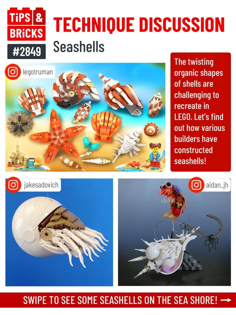 TECHNIQUE DISCUSSION: Seashells