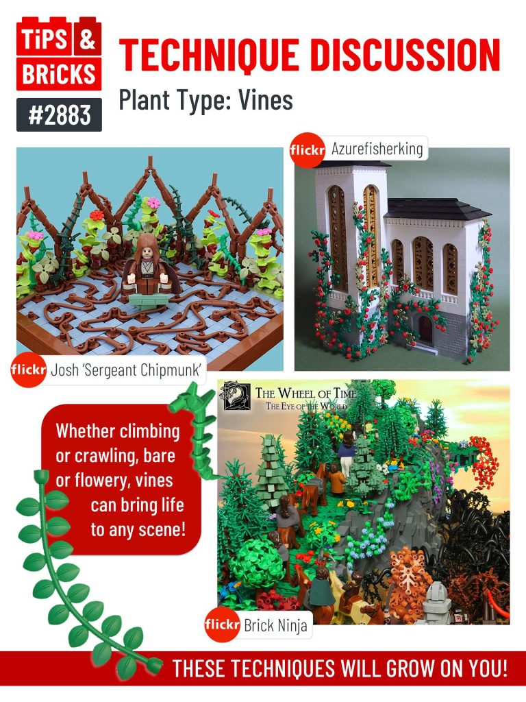 TECHNIQUE DISCUSSION: Plant Types: Vines