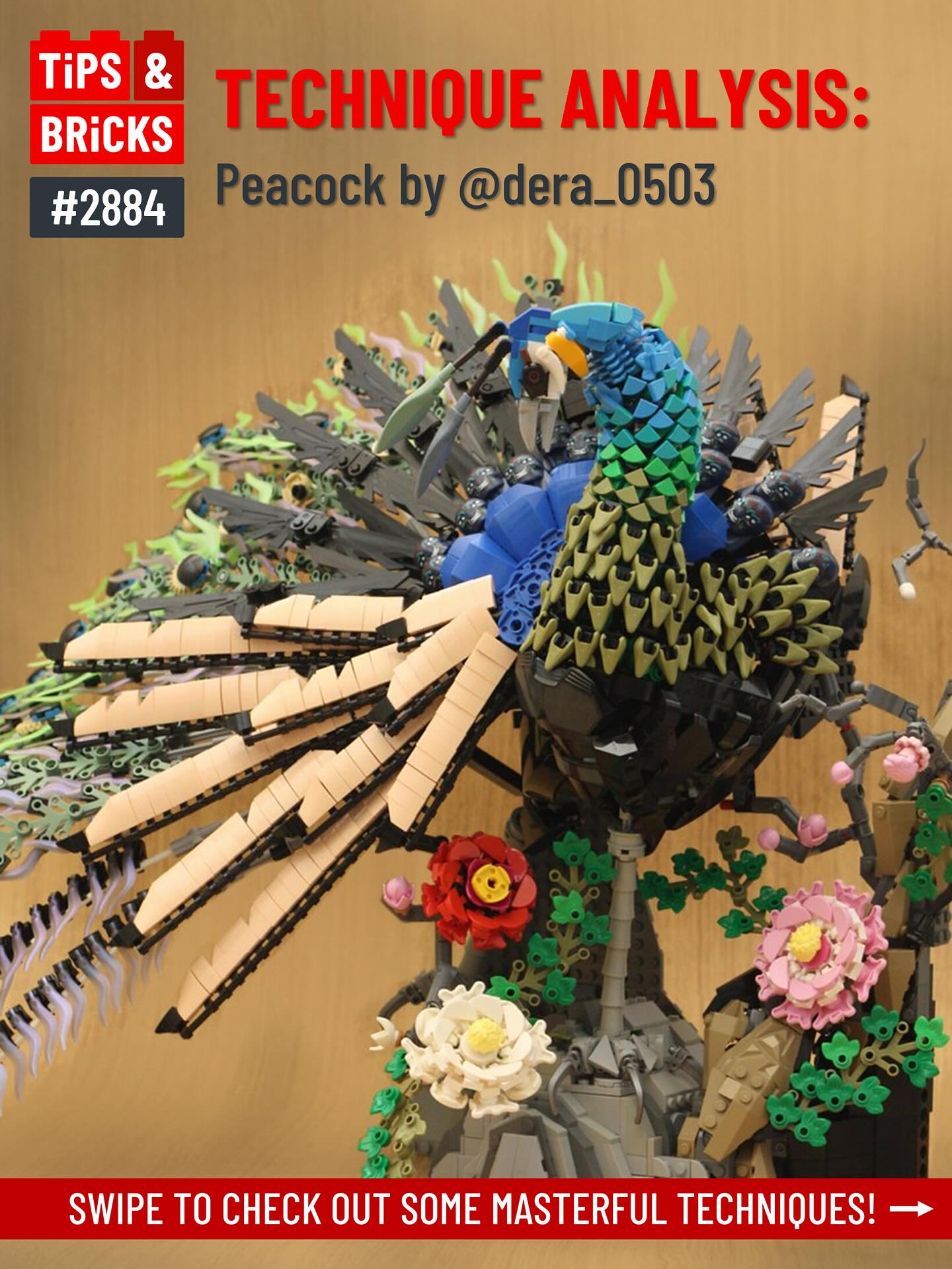2884 TECHNIQUE ANALYSIS: Peacock by @dera_0503 - Tips&Bricks