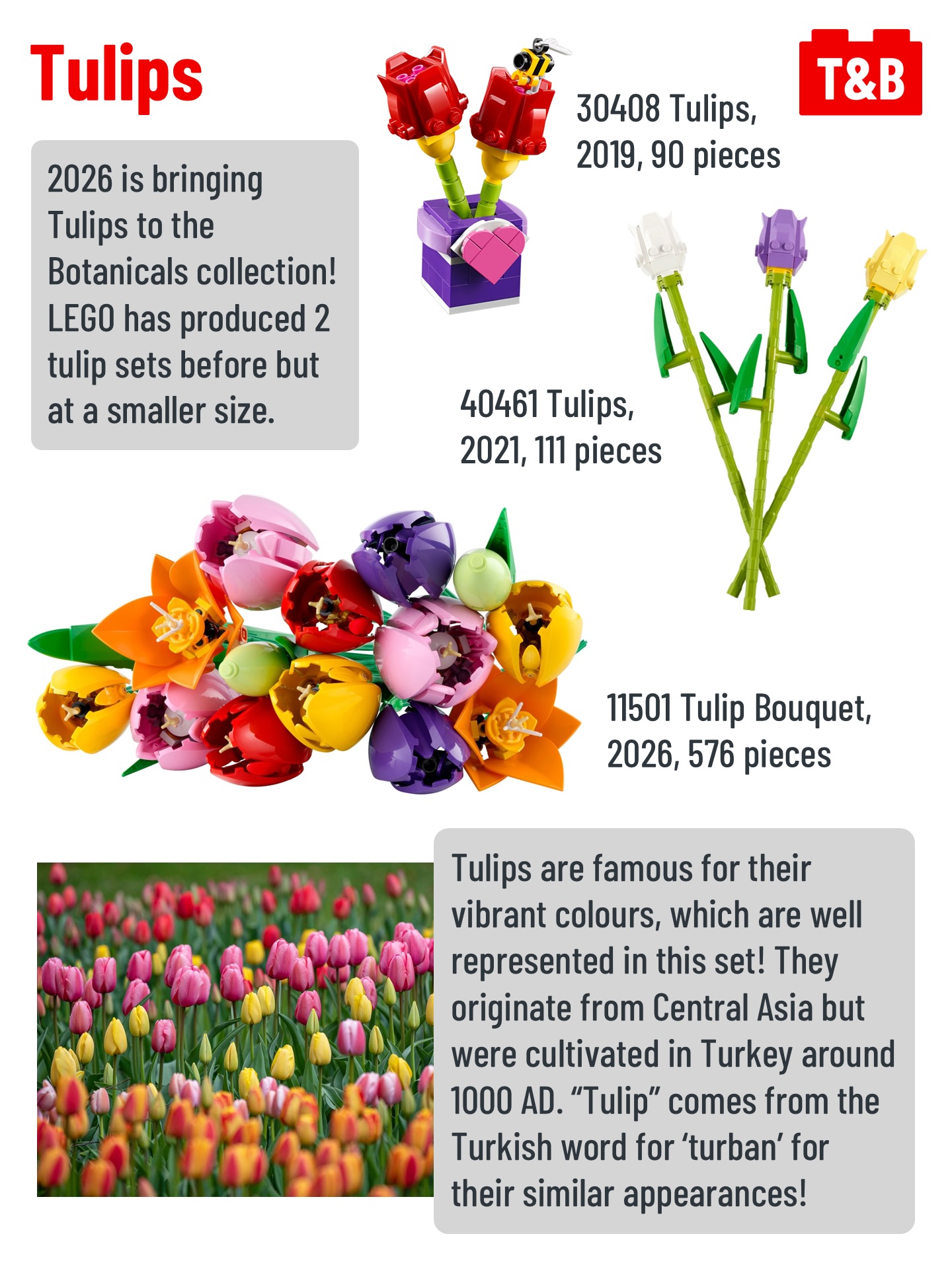 2952 SET REVIEW: 11501 Tulip Bouquet - Tips&Bricks