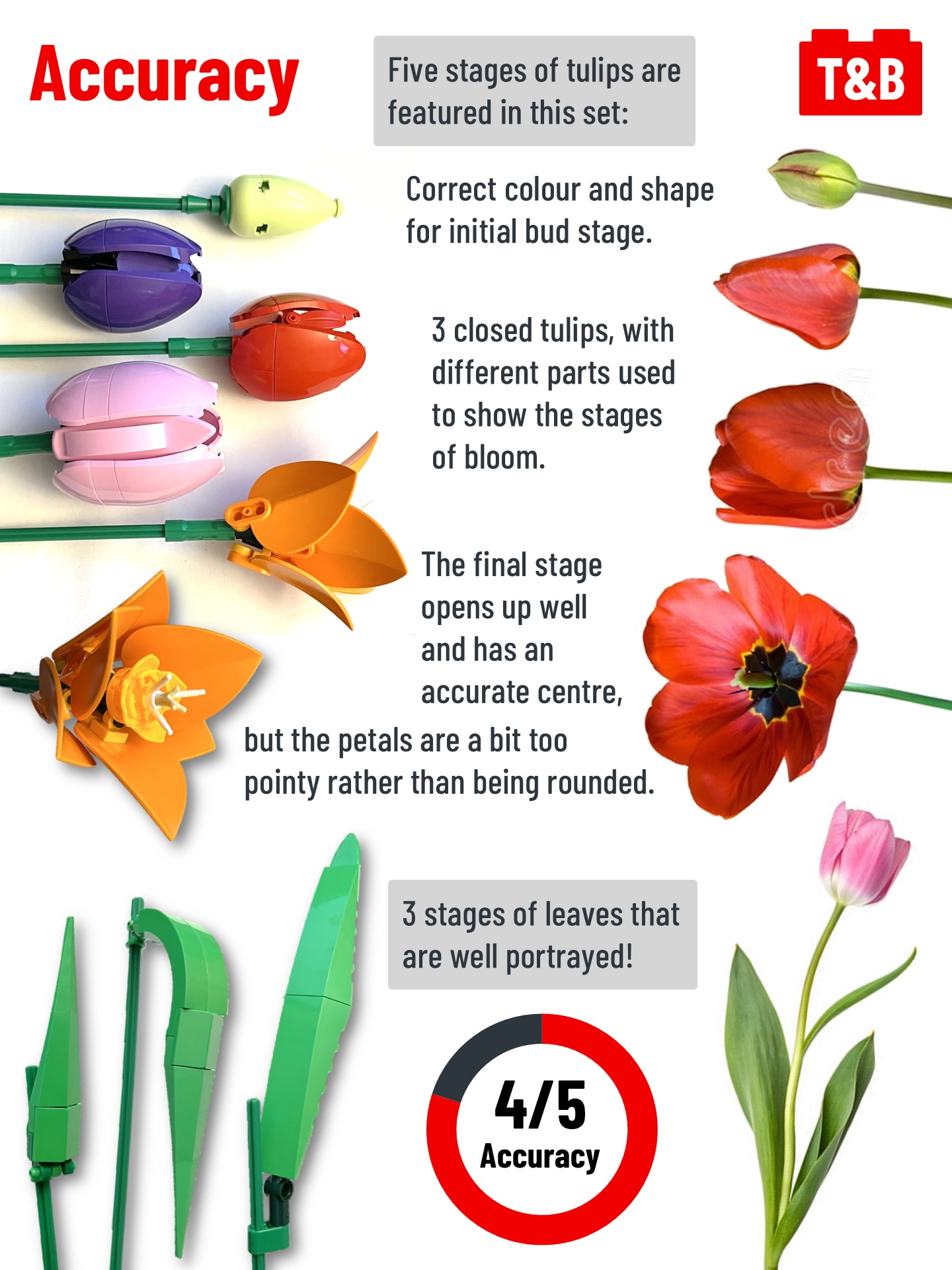 2952 SET REVIEW: 11501 Tulip Bouquet - Tips&Bricks