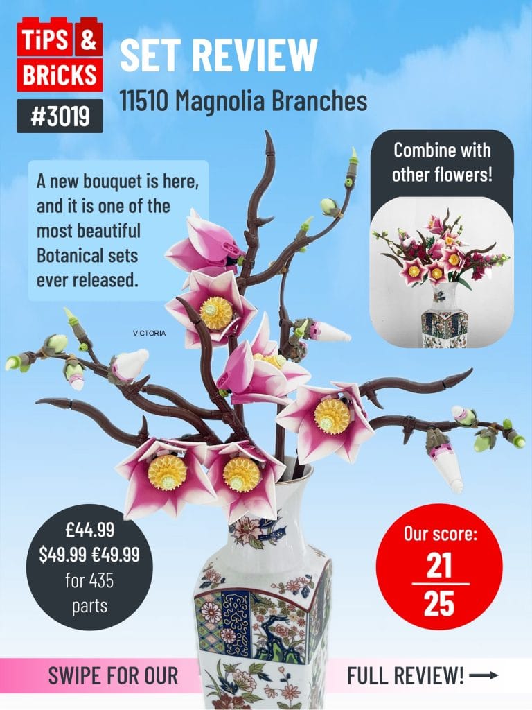SET REVIEW: 11510 Magnolia Branches