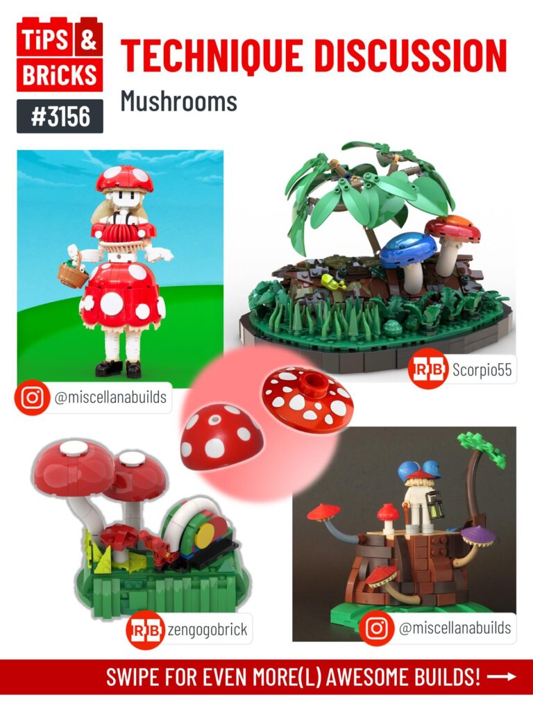 TECHNIQUE DISCUSSION: Mushrooms