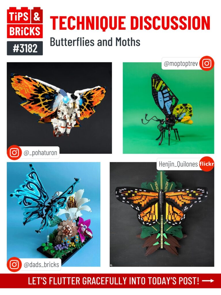 TECHNIQUE DISCUSSION: Butterflies and Moths